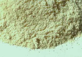 Xantana Pruni - polímero bacteriano