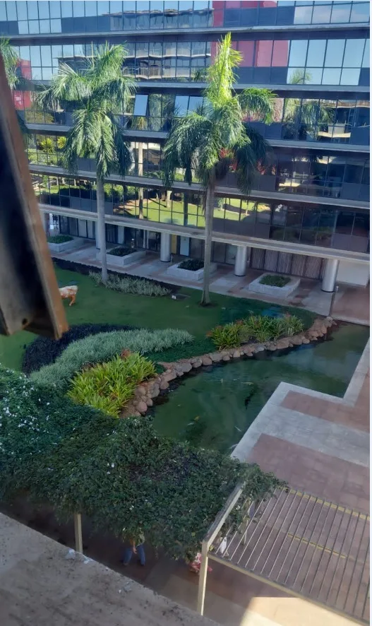 Vista Pátio Georgina Business Park